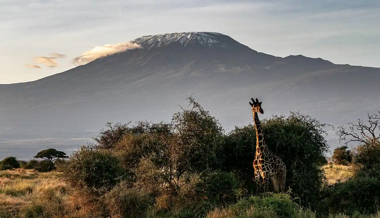 The Northern Circuit route traversing Kilimanjaro